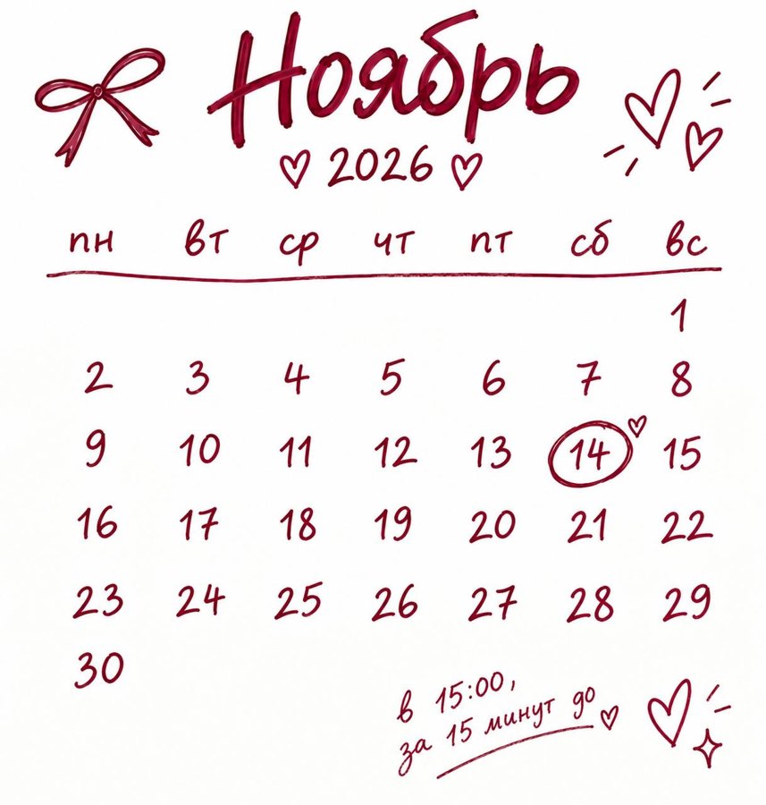 Календарь: ноябрь 2026, обведено 14 число, суббота. В 15:00, приходите за 15 минут до начала